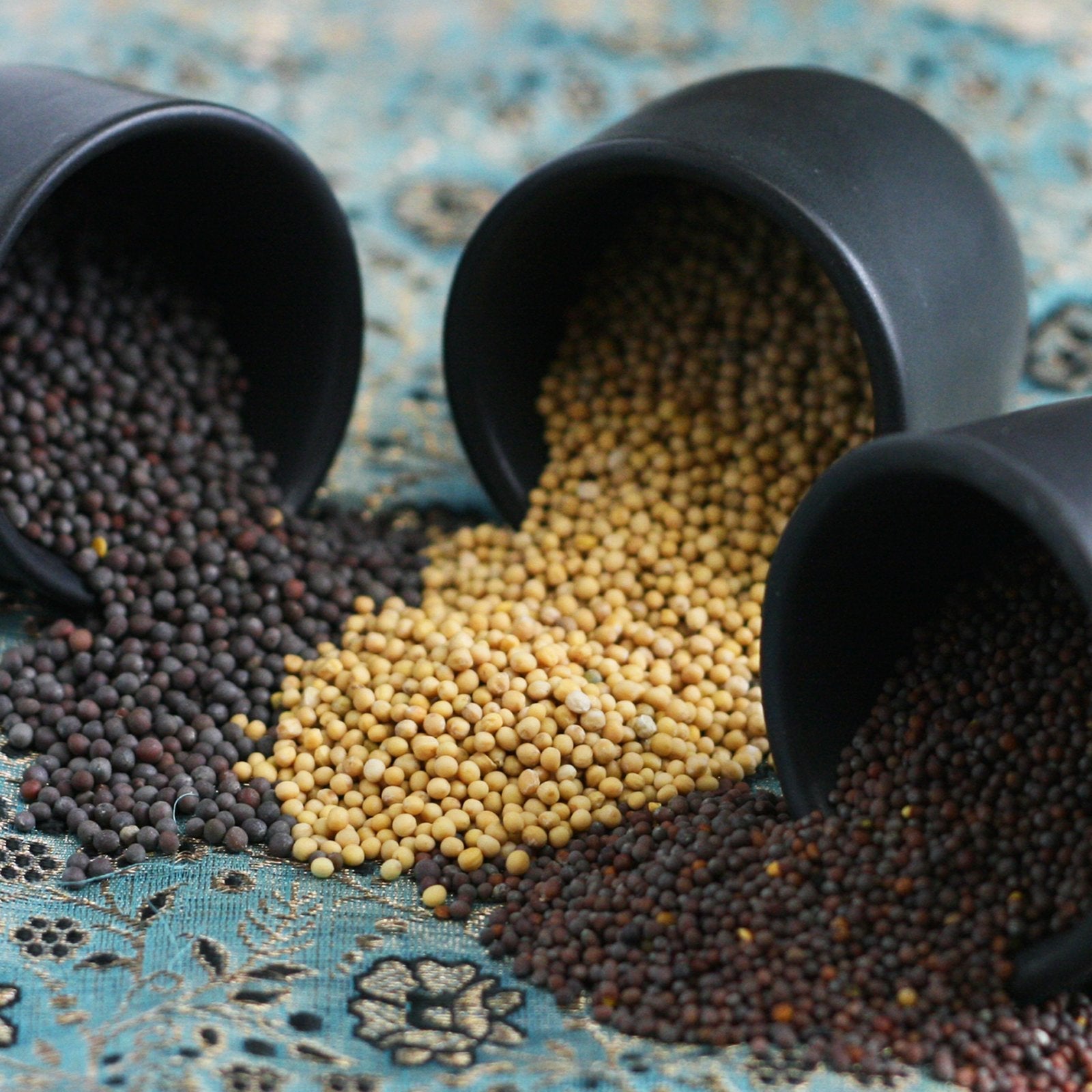 Mustard Seeds (accounts only)