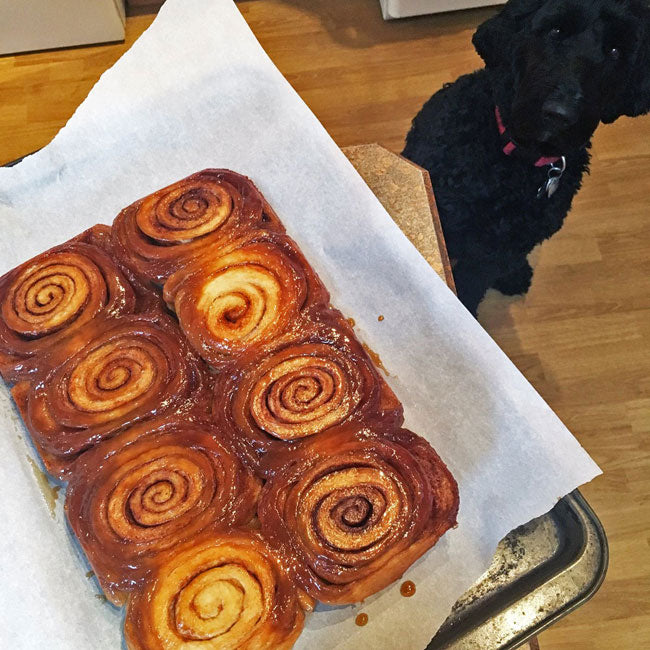 Silk Road Cinnamon Buns