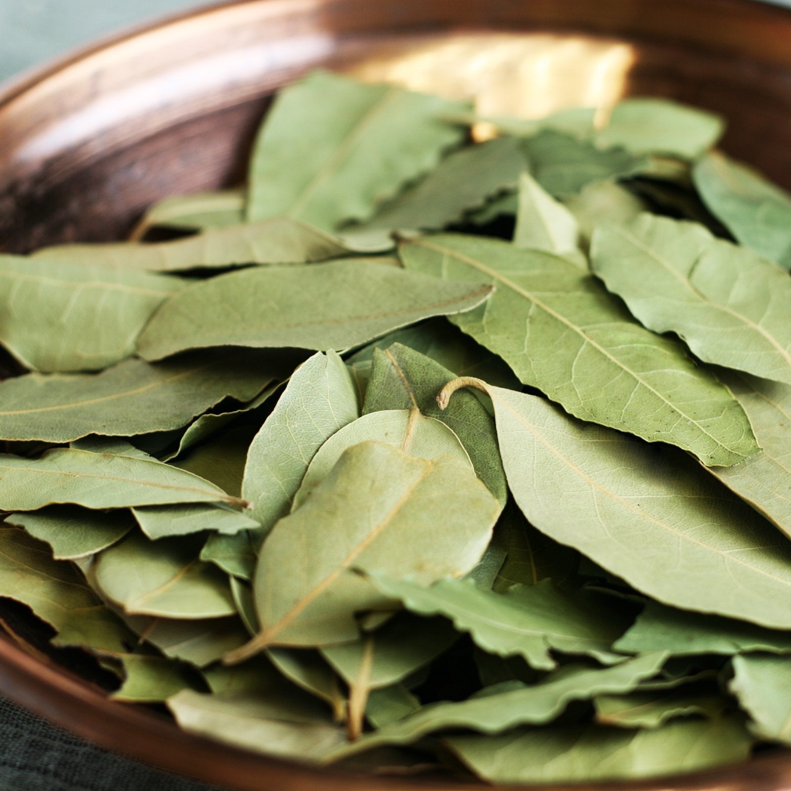 Bay Leaves (accounts only)