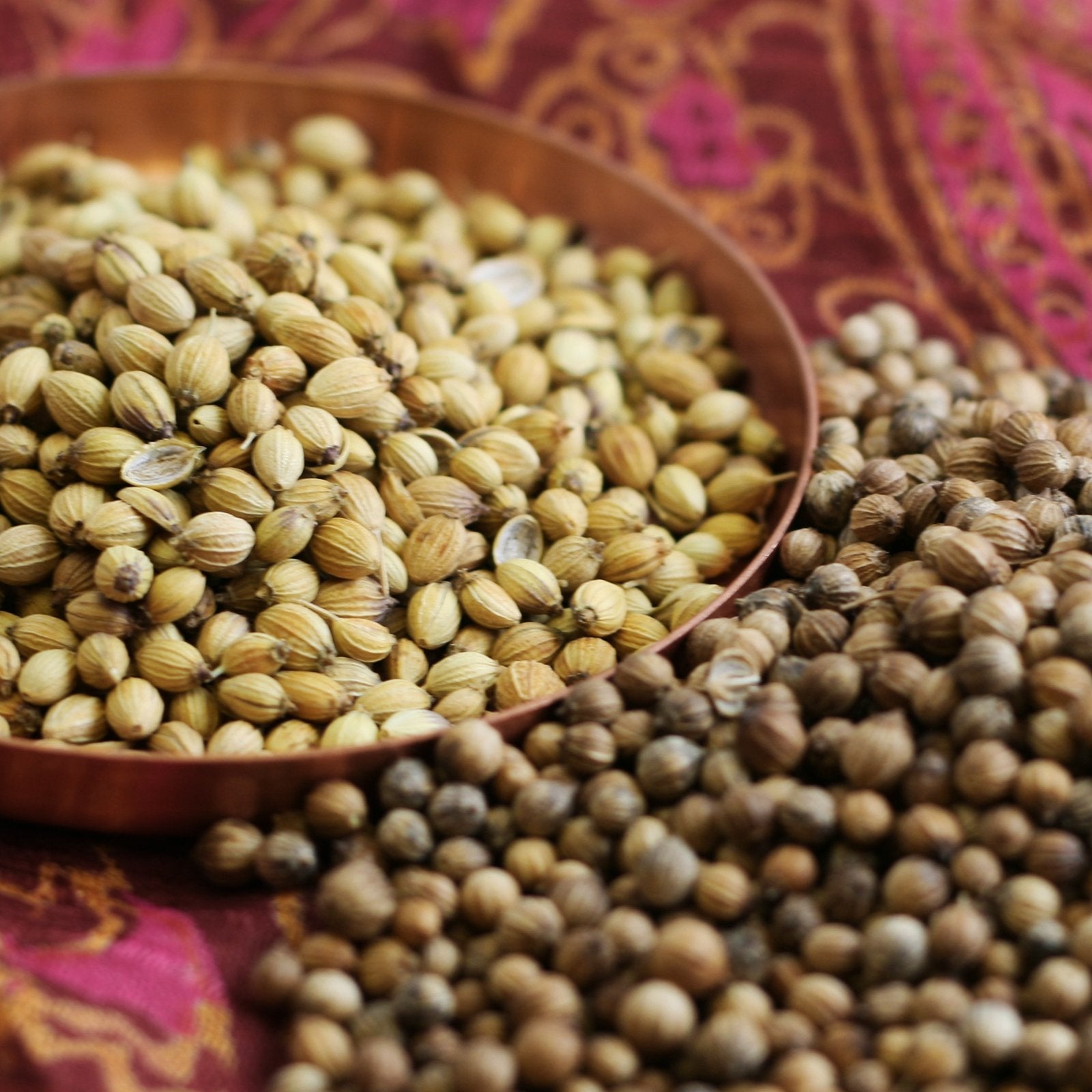 Coriander (accounts only)