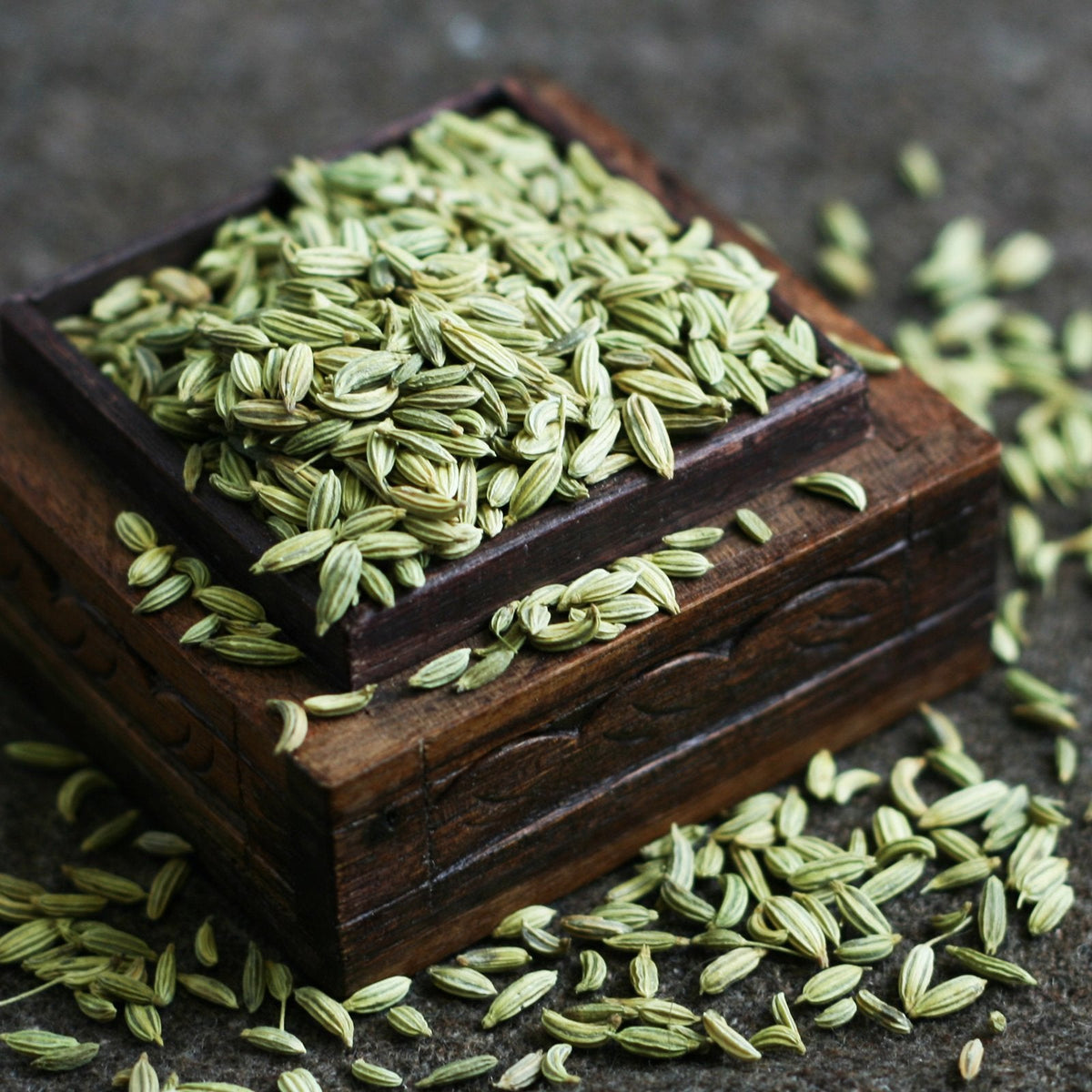 Fennel Seeds (accounts only)